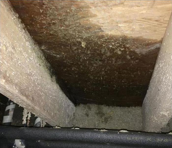 Crawlspace with water damage
